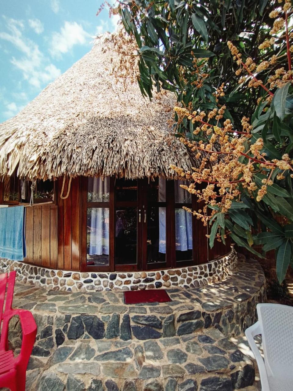 El Paraiso De Carmen 팔로미노 외부 사진