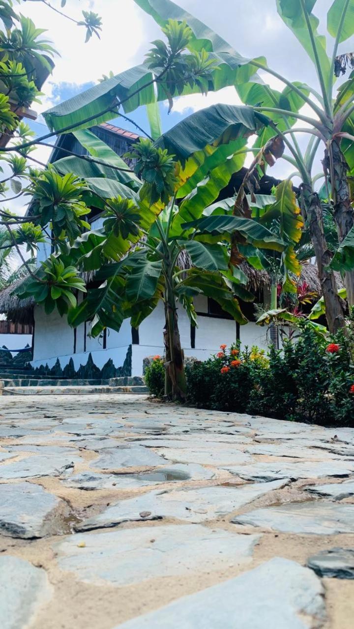 El Paraiso De Carmen 팔로미노 외부 사진